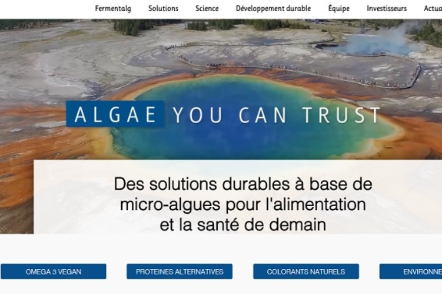 Feu vert pour Fermentalg.