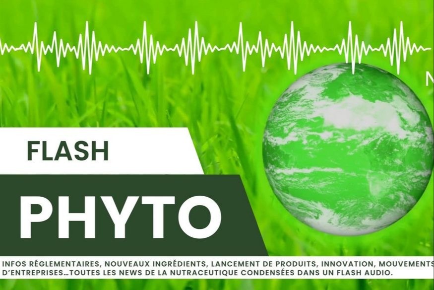 Flash phyto: semaine du 08 avril