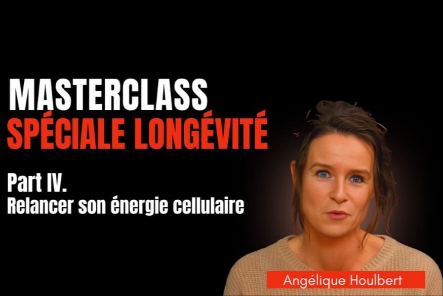 Le dernier volet de la masterclass d’Angélique Houlbert met la mitochondrie au cœur de la longévité