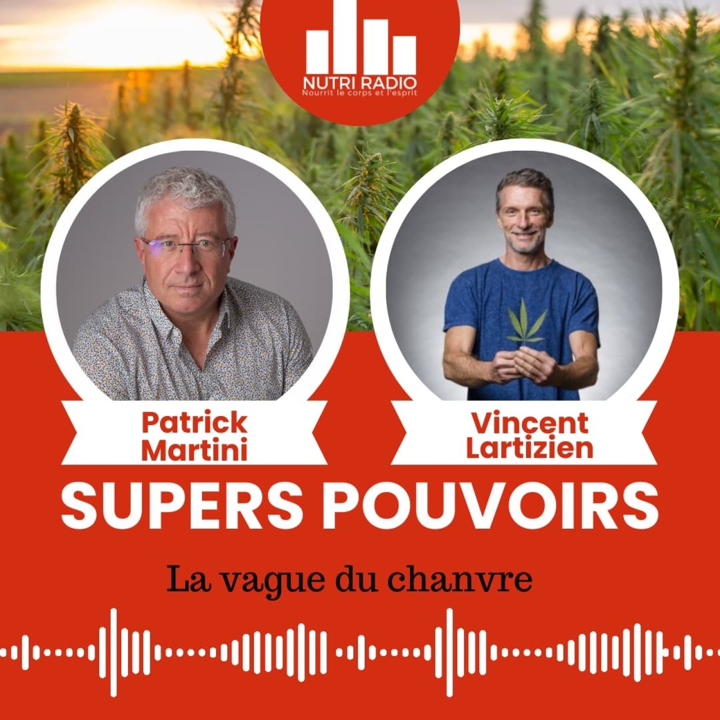 Cannabis sativa  une plante sacrée pour l’autonomie Vincent Lartizien