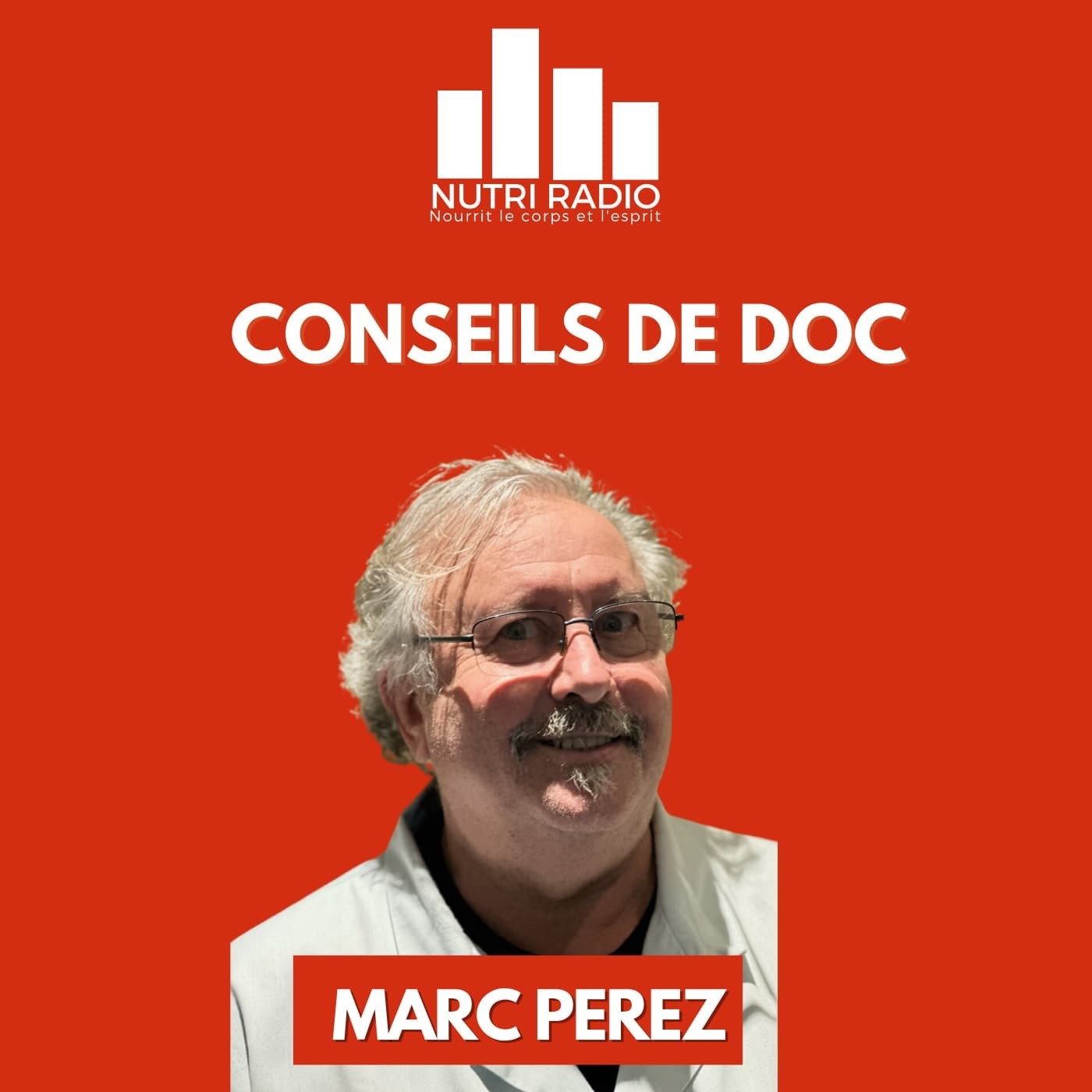 Connexion au monde végétal: la soupe aux herbes sauvages